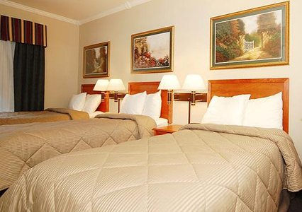 Comfort inn chelsea 03.[1]